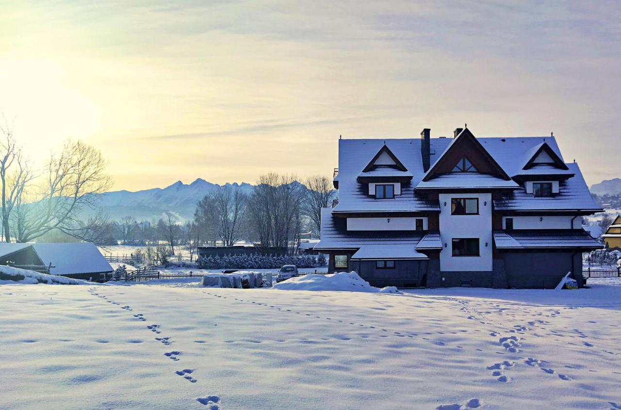 Willa Taterniok - Pokoje Z Widokiem Na Tatry Czarna Góra Dış mekan fotoğraf